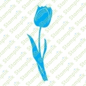 Transparentní razítko tulipán